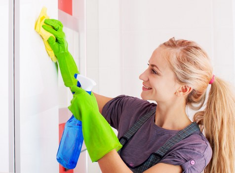 Pet stain odour removal in Holloway for clean carpets