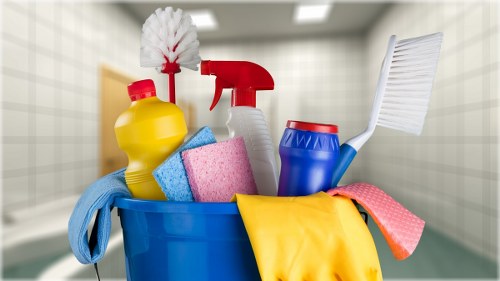 Professional rug cleaning in a Holloway home