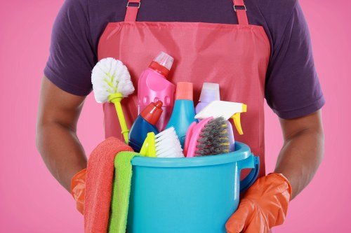 Professional carpet cleaning in a Holloway living room