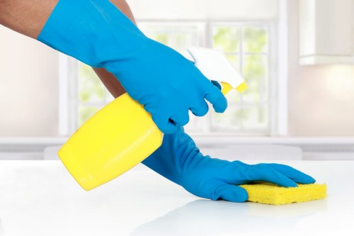 Illustration representing accessible Holloway Carpet Cleaners website content