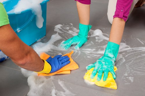 Fresh home after pet stain odour removal in Holloway