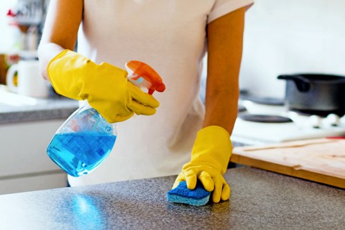 Professional Holloway carpet cleaners restoring a living room carpet