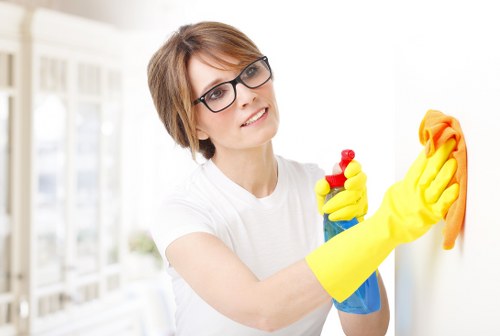 Professional pet stain odour removal in Holloway living room