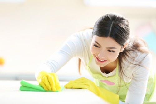 Cleaner assessing a carpet before treatment