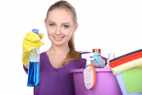 Professional cleaning of upholstery stains in Holloway