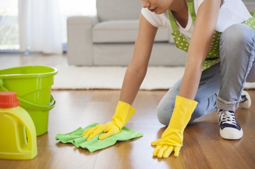 Cleaning technician performing upholstery and carpet care