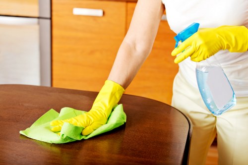 Professional mattress deep cleaning process